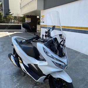 2019년 혼다PCX125 흰색 판매합니다.
