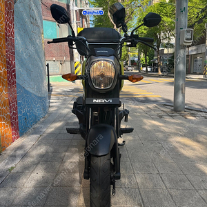 혼다 나비