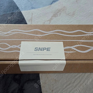 SNPE 웨이브베개 ABD 화이트