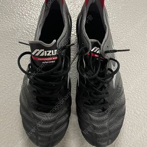택포9만 / 모렐리아 네오3 jpn 275