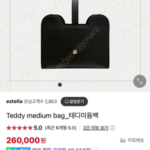 테디백 미듐 에스텔리아 가방