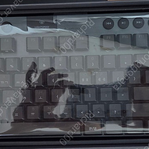 로지텍 G913 TKL Black Clicky