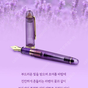 플래티넘 만년필 센츄리 니스 라벤더 14K 금촉 F닙