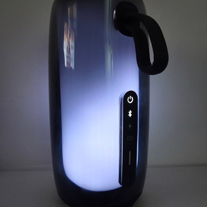 jbl PULSE5 펄스5 팝니다