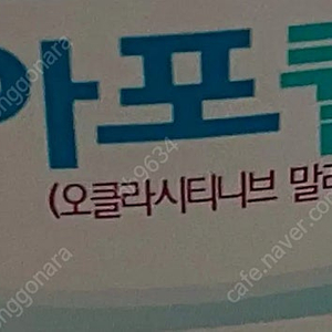 강아지 알러지 ㅇㅍㅋ 16mg