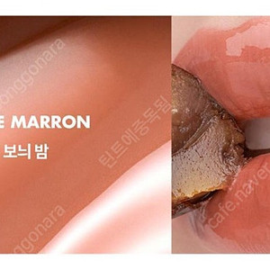 롬앤 더 쥬시 래스팅 틴트 보늬밤 새상품