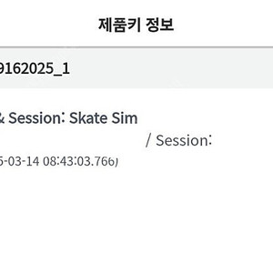 파이널 나이트 & 세션: 스케이트 시뮬레이션 스팀키
