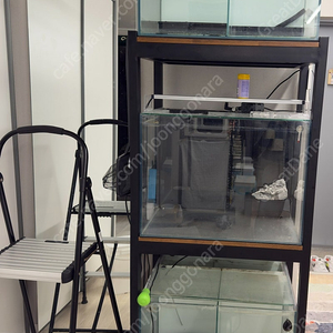 강남) 2자광폭 심즈배면섬프어항 팝니다.