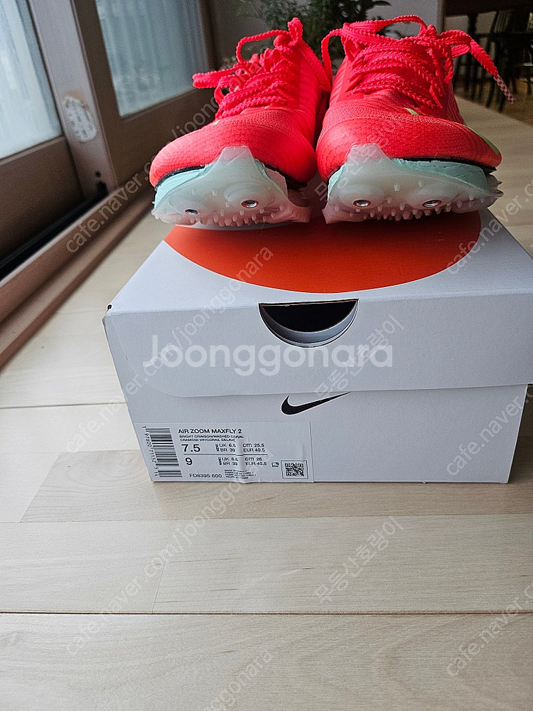 에어 줌 맥스플라이2 255mm(경채 체력 검정 스파이...--2