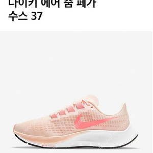나이키 에어줌 페가수스 250