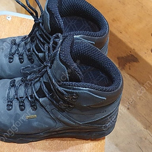 캠프라인 블랙스톰 오메가 265m