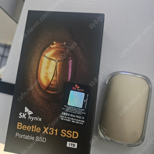 비틀 x31 팝니다