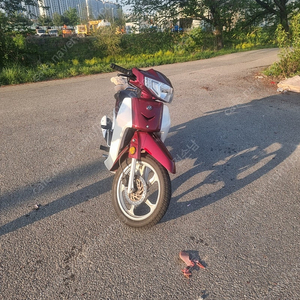 시티베스트