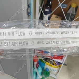 그랜드카니발