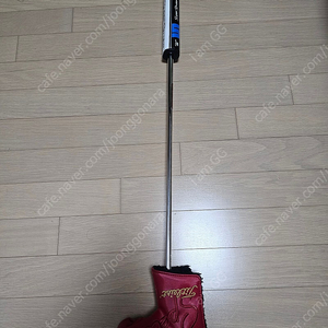 스카티카메론 스페셜셀렉트 패스트백1.5 33인치