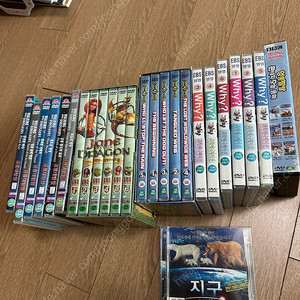 BBC 공룡대탐험dvd, 영어dvd, 학습dvd, Whydvd, 기사제인과 말썽꾸러기용,잠수네다이노스쿼드, bbc 단편dvd 잠수네dvd 일괄판매