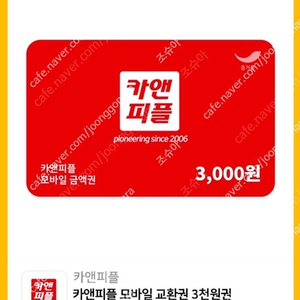 카앤피플 3000원 금액권 500원 (즉시발송)