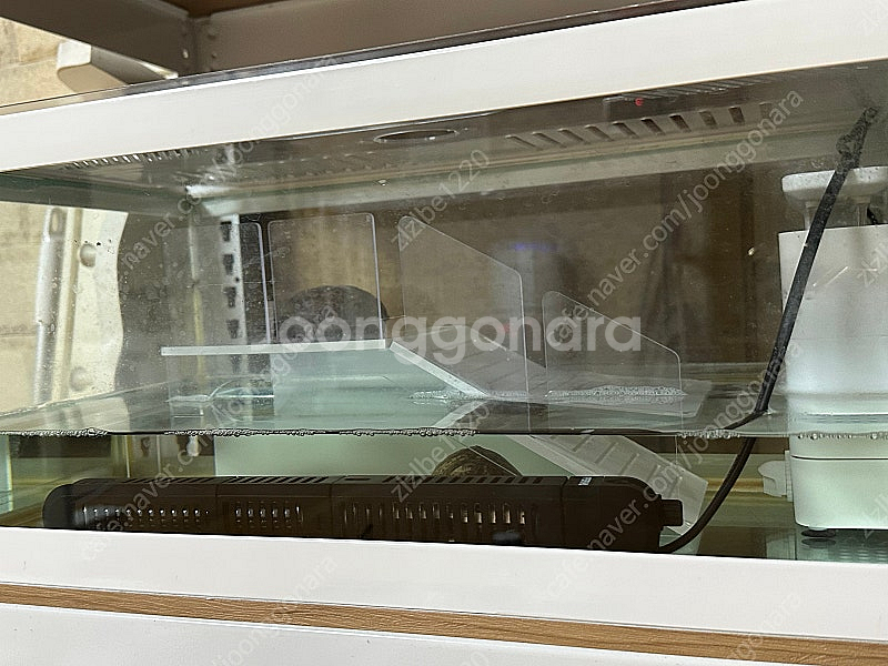 아크릴 거북이 계단 (맞춤제작)--3