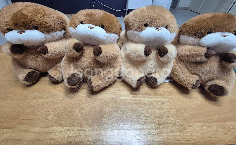 속았지 우소우소 카피바라우소우소--0