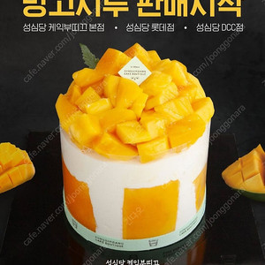 [내역 750건 이상] 성심당 망고시루 튀소등 각종 빵 구매해드립니다