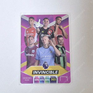 급처, 가격내림, 정리:) 2025파니니 INVINCIBLE 축구카드 EPL 프리미어리그 인빈서블 희귀