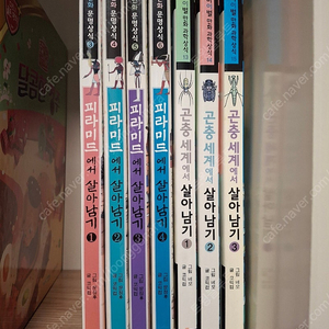 살아남기 시리즈