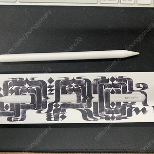 [대전] 애플펜슬 프로