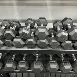덤벨 5, 10, 15, 20, 25, 30, 35, 40, 45, 50(22.5kg), 70, 35kg