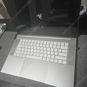레이저블레이드 4k 10gen rtx2070
