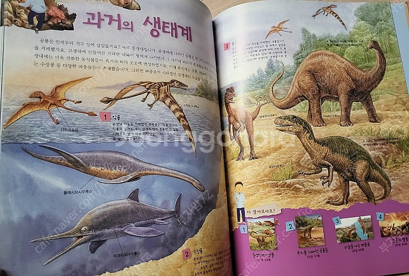 교원 눈으로 보는 과학 40권 택포--2