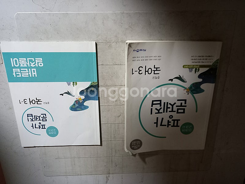 중학교 국어 3-1 평가문제집 신유식 미래엔 본문 앞부...--0