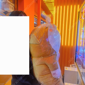 시바견 인형 겸 바디필로우 85cm