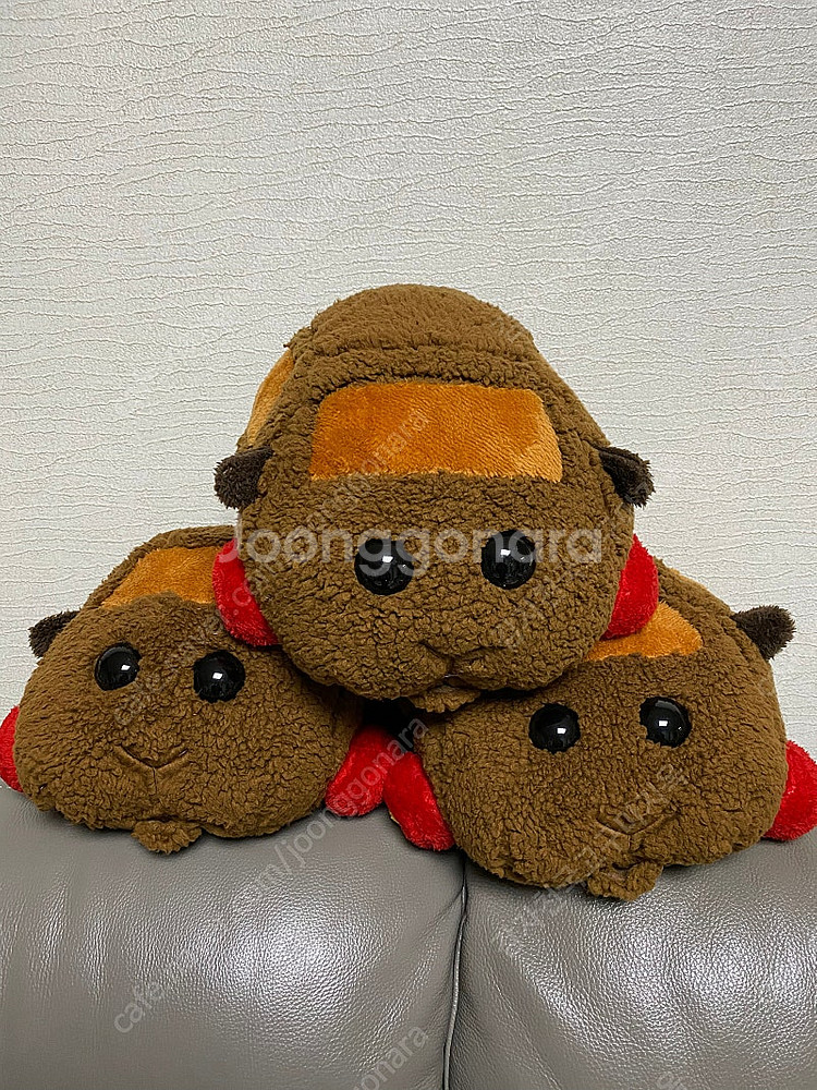 뿌이뿌이 모루카 테디--0