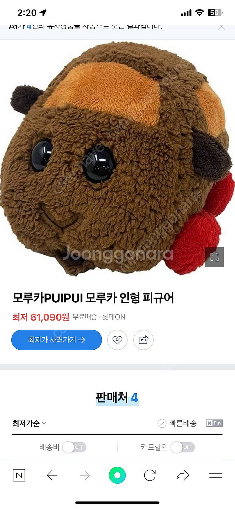 뿌이뿌이 모루카 테디--4