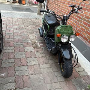 줌머 50