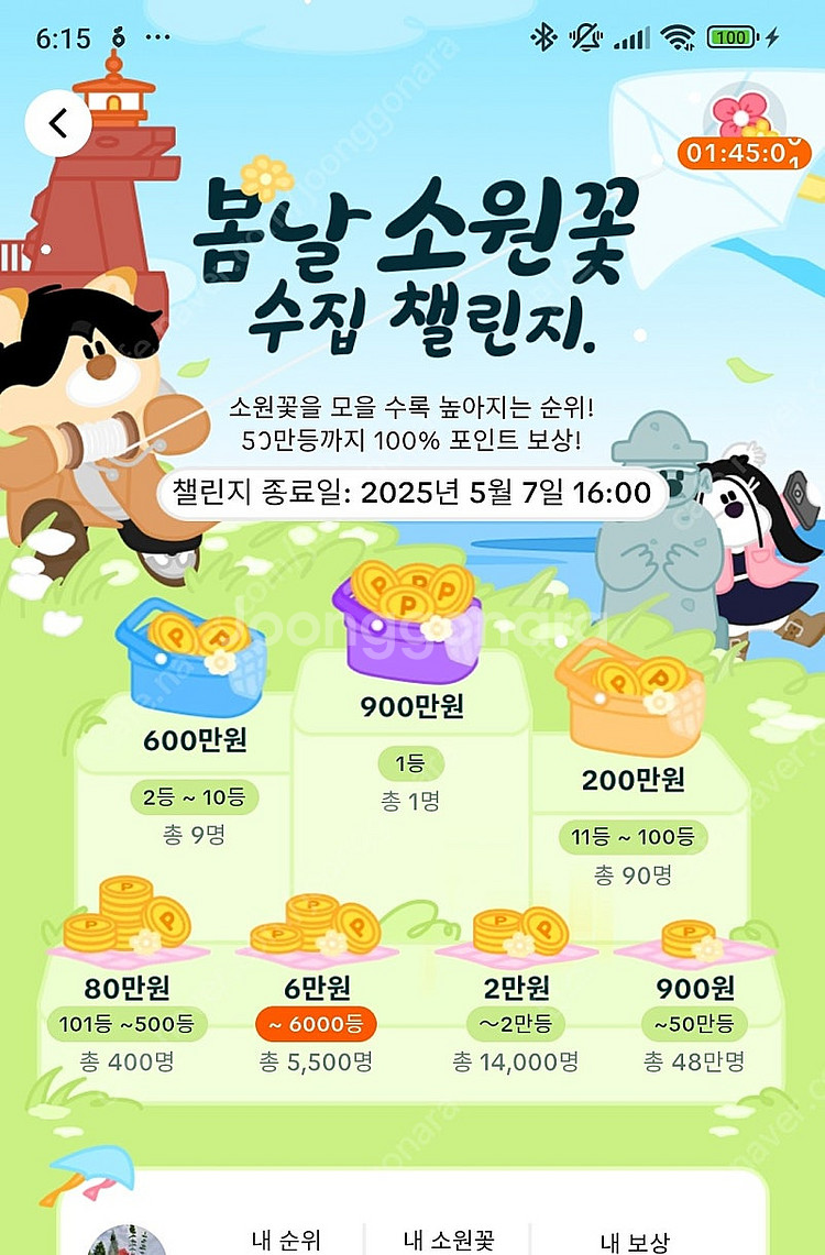 소원꽃 매입 합니다--0