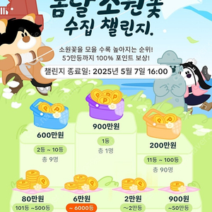 소원꽃 매입 합니다