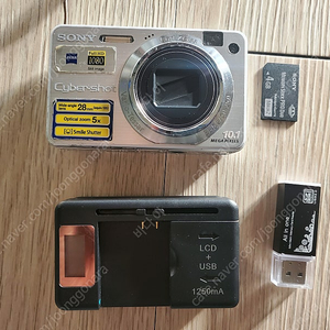 소니사이버샷 DSC-W170 디지털카메라