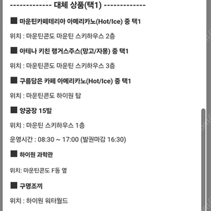 하이원 리조트 운탄고도 케이블카 대체상품도 가능 8장