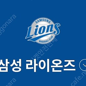 삼성라이온즈 5.2~4경기 연석 최저가양도합니다