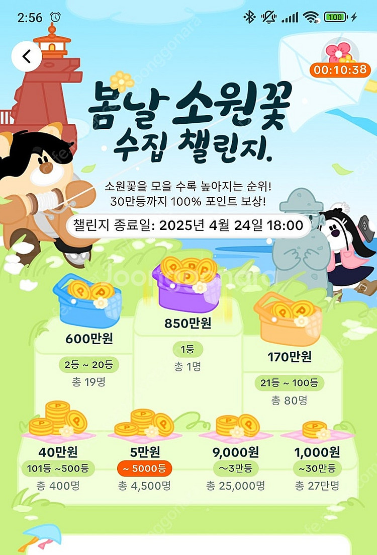 소원꽃 고정 10개 15.000웡--0