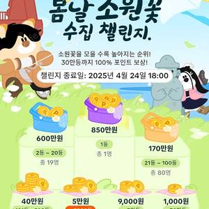 소원꽃 고정 10개 15.000웡