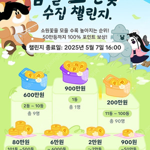 소원꽃 2개 판매해요