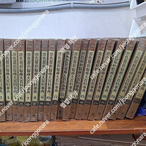 원색최신의료대백과 총22권