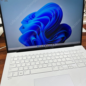 LG 그램 2023년형 17인치 i5 16gb 1tb