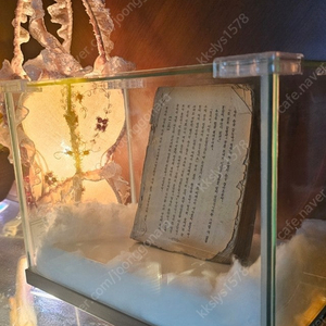 마지막 개인소장본!! 春園 李光洙 無情 춘원 이광수 "무정" 초기 발행본