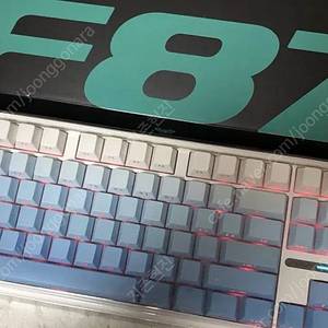 독거미 AULA f87 회목축(그레이축)