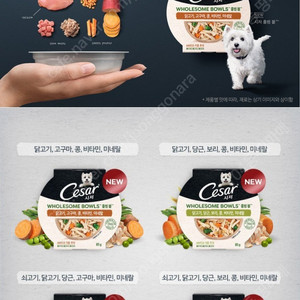 강아지용시저 홀썸볼 인터넷최저가 입니다