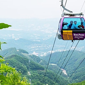 용평 발왕산 케이블카 4장
