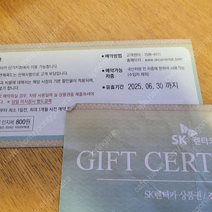 SK 렌트카 (전차종가능)